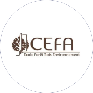 Logo Cefa